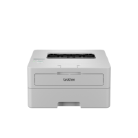 HL-L2865DW Mono Laser A4 Brother Printer 