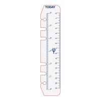 2-Pack Rulers for Debden Dayplanner 172mm x 96mm 6-Ring