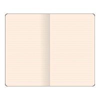 Flexbook Smartbook Notebook Pocket Ruled Pink/Green