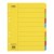 Cardboard Dividers Extra Wide 10 Tab Coloured