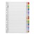 Cardboard Indices with Reinforced Tabs 1-20 Coloured