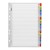 Cardboard Indices with Reinforced Tabs 1-31 Coloured