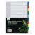 PP Dividers 10 Tab Coloured