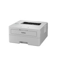 HL-L2865DW Mono Laser A4 Brother Printer