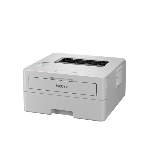 HL-L2865DW Mono Laser A4 Brother Printer