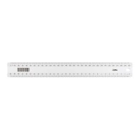 25-Pack Icon Ruler Clear 30cm
