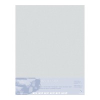 Pastelmat Mount Board 70x100cm Clear Grey 5 Sheets