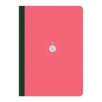 Flexbook Smartbook Notebook Large Ruled Pink/Green