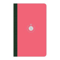 Flexbook Smartbook Notebook Medium Ruled Pink/Green