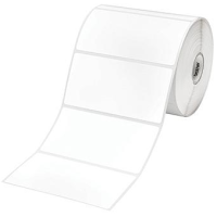 Brother RDS03C1 Die-Cut Roll 281 Labels 102mm x 50mm - Genuine