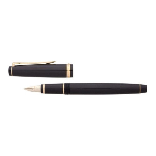 Pilot Falcon Resin Gold Trim Fountain Pen Fine - FE18SRG-B-SF-NT