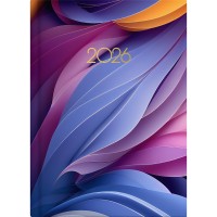 Collins A51 Carnival Day to Page Diary Even Year