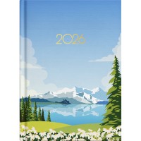 Collins A51 Kiwi Country Day to Page Diary Even Year