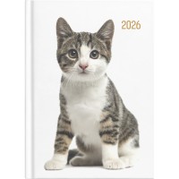 Collins A51 Cats & Dogs Day to Page Diary Even Year
