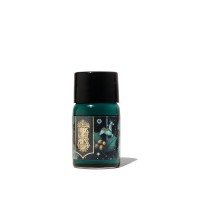 FWP Fountain Pen Ink Tunes of Tinseltown 10ml