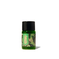 FWP Fountain Pen Ink Ferritales Lores of the Loch 10ml