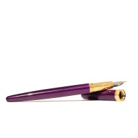 FWP Fountain Pen Bijou Whispers of Twilight Fine