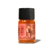 FWP Fountain Pen Ink Ferritales Lantern Crossing 10ml