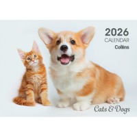 Collins Wall Calendar A4 Cats & Kittens Even Year
