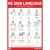 Warwick Poster Wall Chart Classroom Sign Language