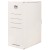 FM Storage Carton White Jumbo 381x250x169mm