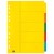 FM Indices A4 5 Tab Coloured Cardboard