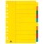 FM Indices A4 10 Tab Coloured Cardboard