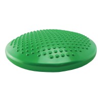 Elizabeth Richards Wiggle Cushion